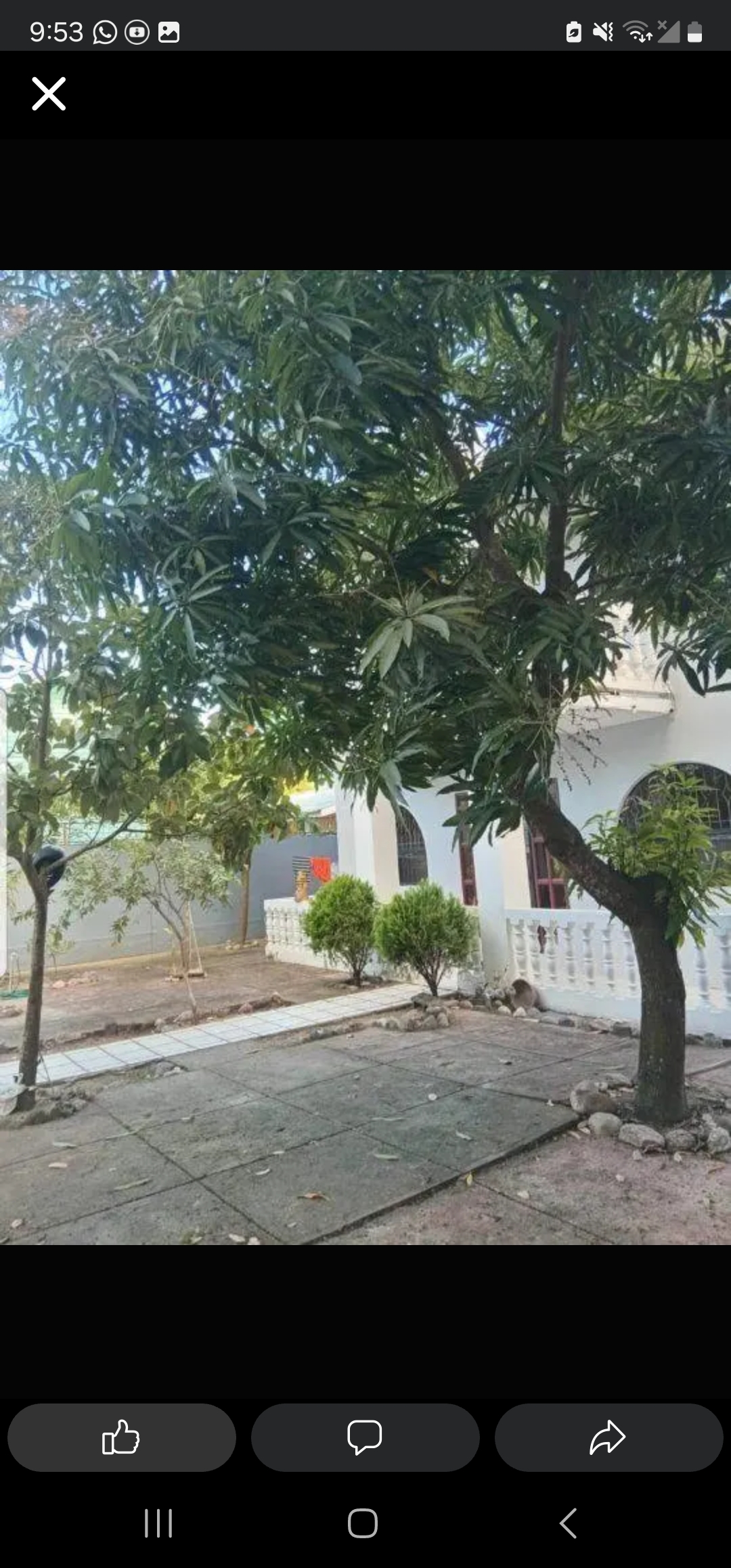 Venta Hermosa casa TELA ATLANTIDA