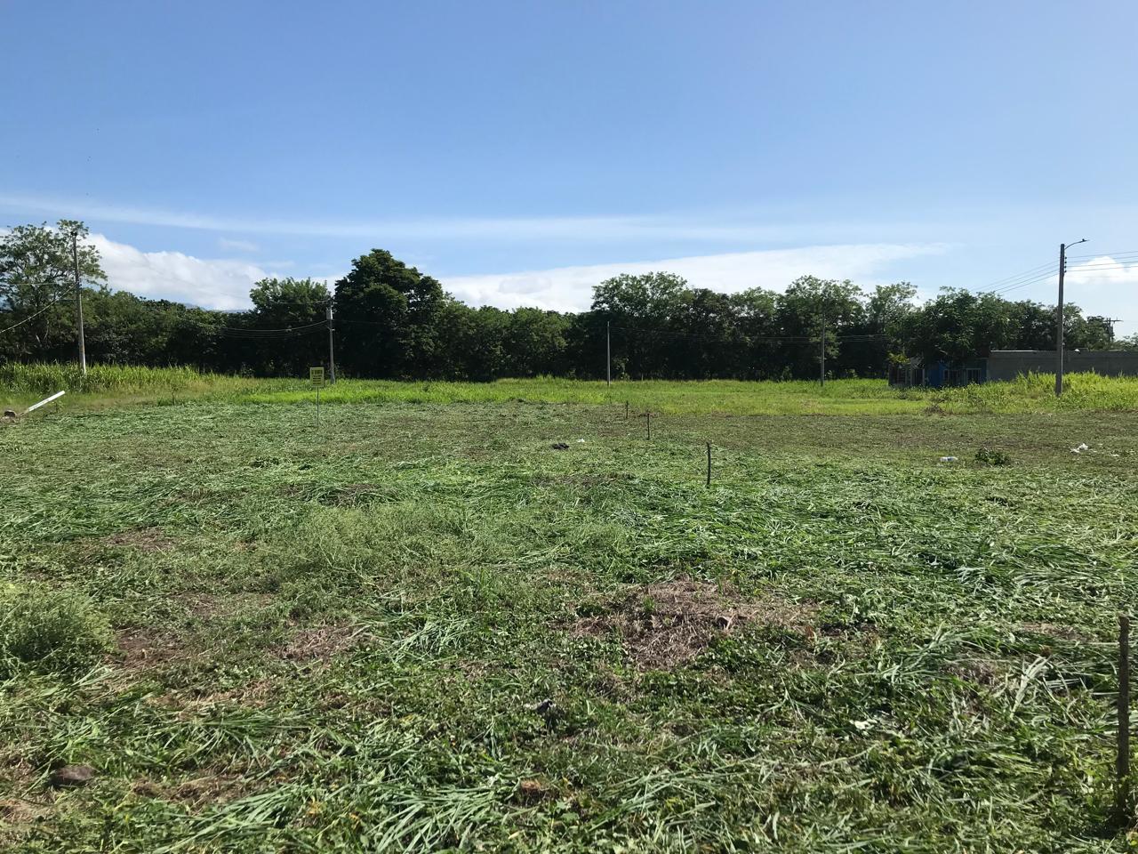 7 Solares a la venta